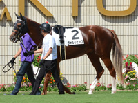 新馬戦　パドック