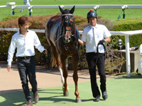 新馬戦　口取り