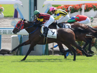 新馬戦　ゴール前