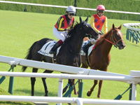 未勝利戦（牝）　レース後
