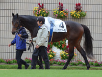 新馬戦　パドック
