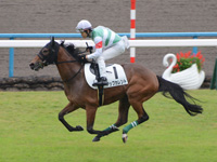 未勝利戦　キャンター