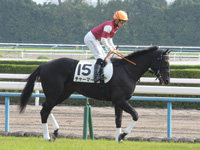 新馬戦　本馬場入場