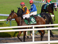 ファンタジーステークス（ＧIII）　レース後
