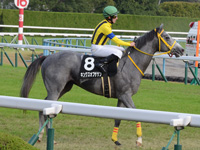黄菊賞（500万）　レース後