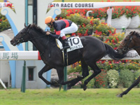 未勝利戦　ゴール前