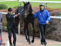 未勝利戦　口取り