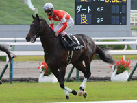 黄菊賞（500万）　キャンター