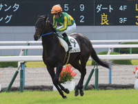 新馬戦　キャンター