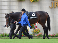 黄菊賞（500万）　パドック