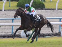 黄菊賞（500万）　直線