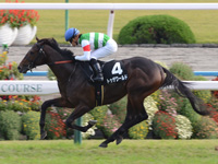 黄菊賞（500万）　ゴール前
