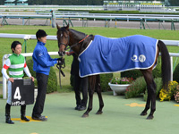 黄菊賞（500万）　口取り