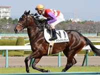 未勝利戦（牝）　キャンター