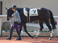 未勝利戦（牝）　パドック