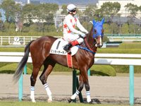 新馬戦　本馬場入場