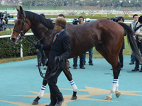 新馬戦　口取り