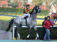 未勝利戦　本馬場入場