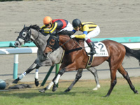 未勝利戦　直線（内2着）