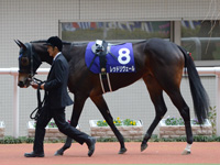 阪神ジュベナイルフィリーズ（ＧＩ）　パドック