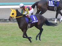 阪神ジュベナイルフィリーズ（ＧＩ）　キャンター
