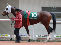 ラジオNIKKEI杯2歳ステークス（ＧIII）　パドック