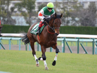 ラジオNIKKEI杯2歳ステークス（ＧIII）　キャンター