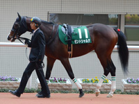 ラジオNIKKEI杯2歳ステークス（ＧIII）　パドック