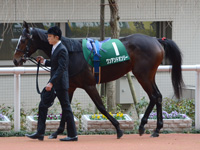 ラジオNIKKEI杯2歳ステークス（ＧIII）　パドック
