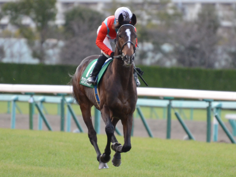 ラジオNIKKEI杯2歳ステークス（ＧIII）　キャンター
