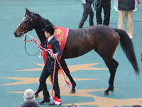 ラジオNIKKEI杯2歳ステークス（ＧIII）　口取り