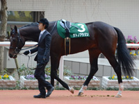 ラジオNIKKEI杯2歳ステークス（ＧIII）　パドック