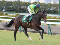 ラジオNIKKEI杯2歳ステークス（ＧIII）　キャンター