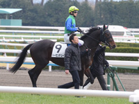 新馬戦　本馬場入場