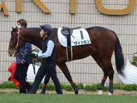 新馬戦　パドック