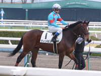 新馬戦　本馬場入場