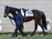 未勝利戦（牝）　パドック