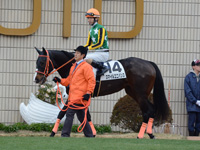 未勝利戦（牝）　パドック