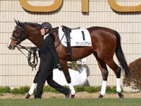 500万平場戦　パドック