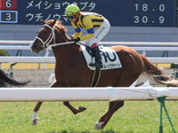新馬戦　キャンター