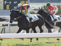 新馬戦　キャンター