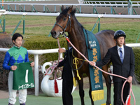 きさらぎ賞（ＧIII）　口取り