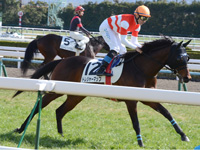 未勝利戦　キャンター