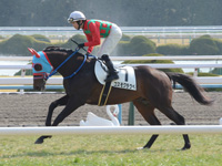 500万下　キャンター