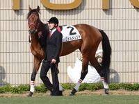 500万下　パドック