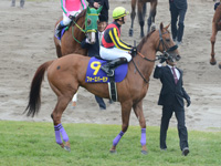桜花賞（ＧＩ）　本馬場入場