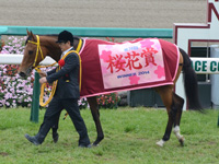 桜花賞（ＧＩ）　表彰式
