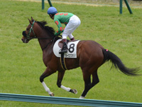 未勝利戦　キャンター