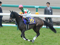 桜花賞（ＧＩ）　本馬場入場