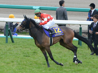 桜花賞（ＧＩ）　本馬場入場